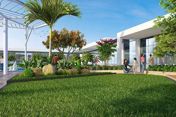 Lawn | MVV The Peak